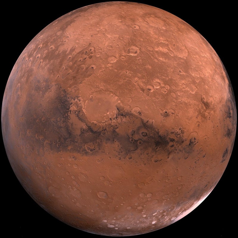 Martian Microbes
